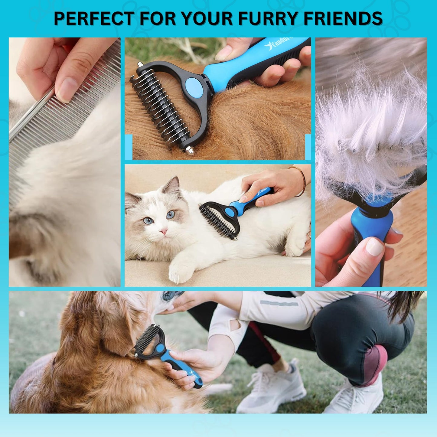 Candure Dematting Comb for Dog and Cat, Pet Grooming Rake and Brushes (Blue)